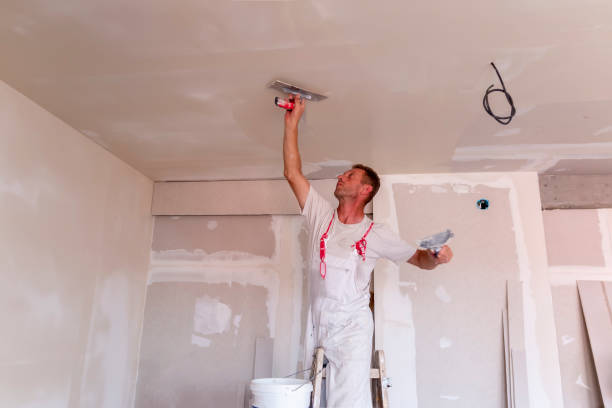 Best Ceiling Drywall Installation  in Beaver, UT